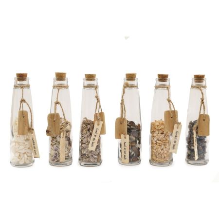 Shells In A Glass Bottle