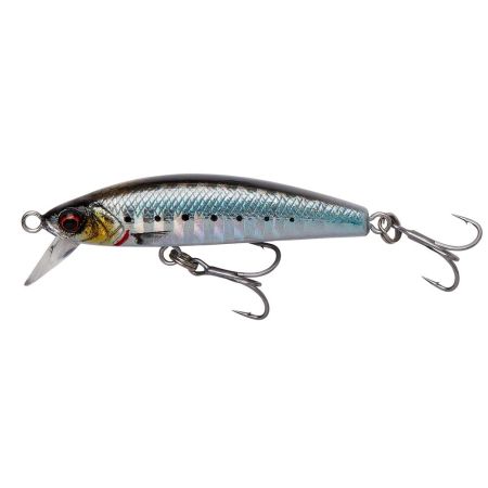 Gravity Minnow 5Cm 4.3G Sinking Sardine Php