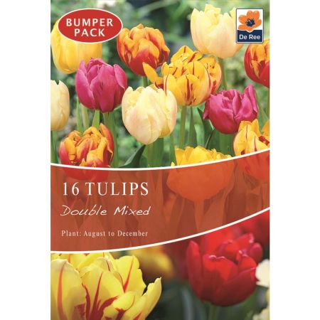 Tulips Double Mixed