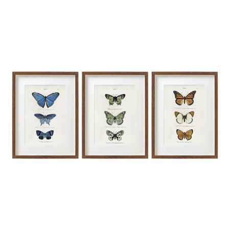 Butterfly Wall Art