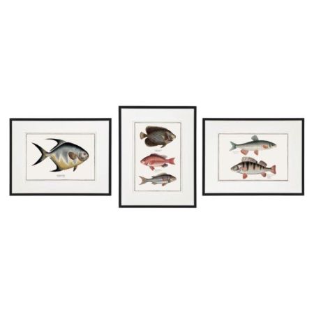 Framed Fish Wall Art