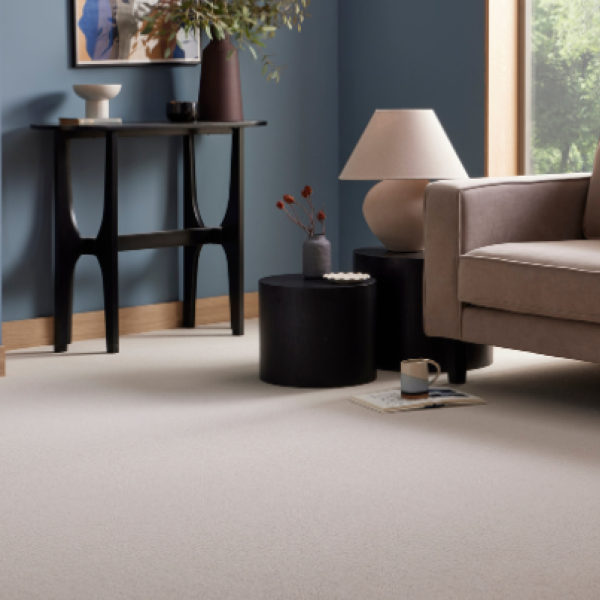 Don’t Miss Out! Discounts on Wool & Synthetic Carpet (Limited Stock!)