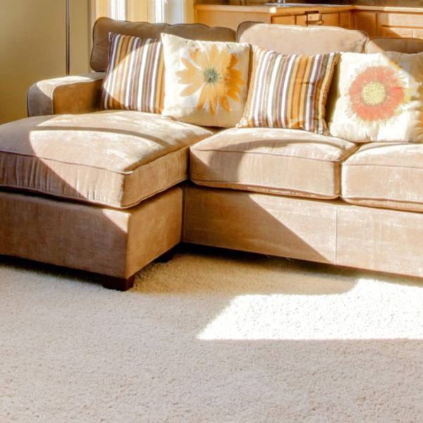 Trago Carpets - Peninsula Home Carpets