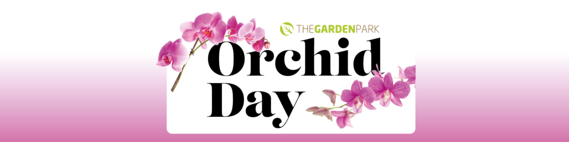 Orchid Day