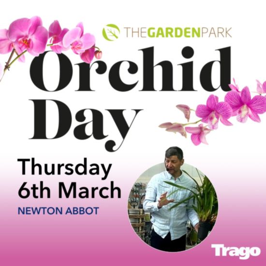 Orchid Day