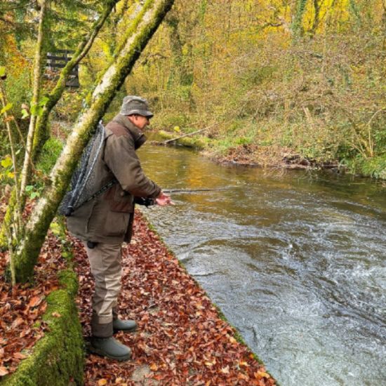 Preserving wild salmon: Trago teams up with Colliford Salmon Hatchery